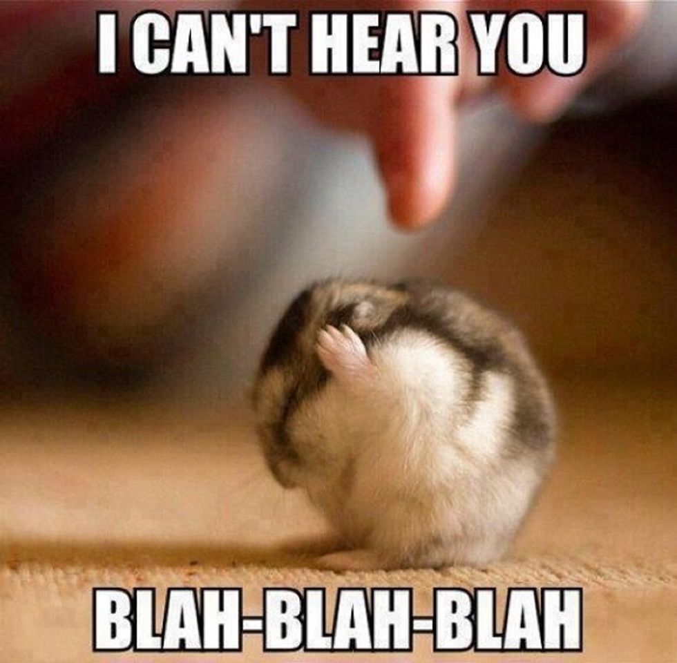 How To Cute Memes B C Guides how-to-cute-memes-b-c-guides