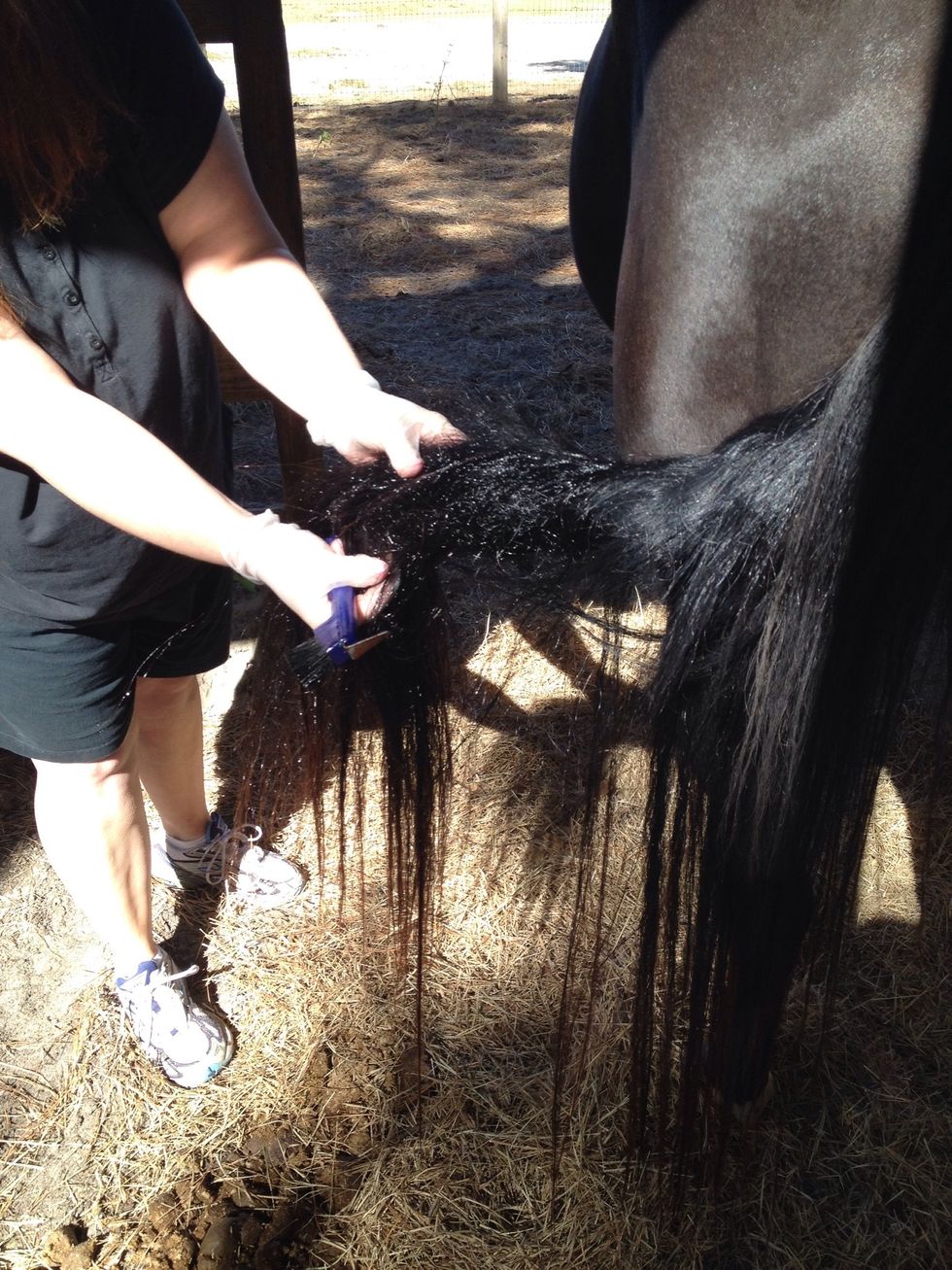 How to get a mat out of your horses hair with wd40 B+C Guides