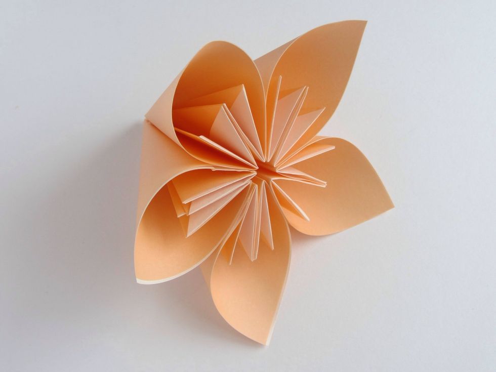 How to make an origami flower - B+C Guides