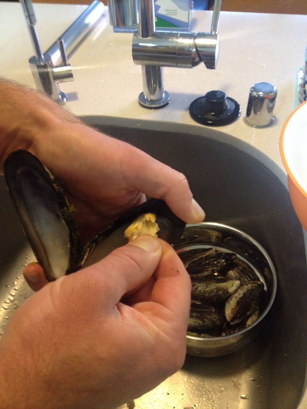 How to prepare and cook wild mussels B+C Guides