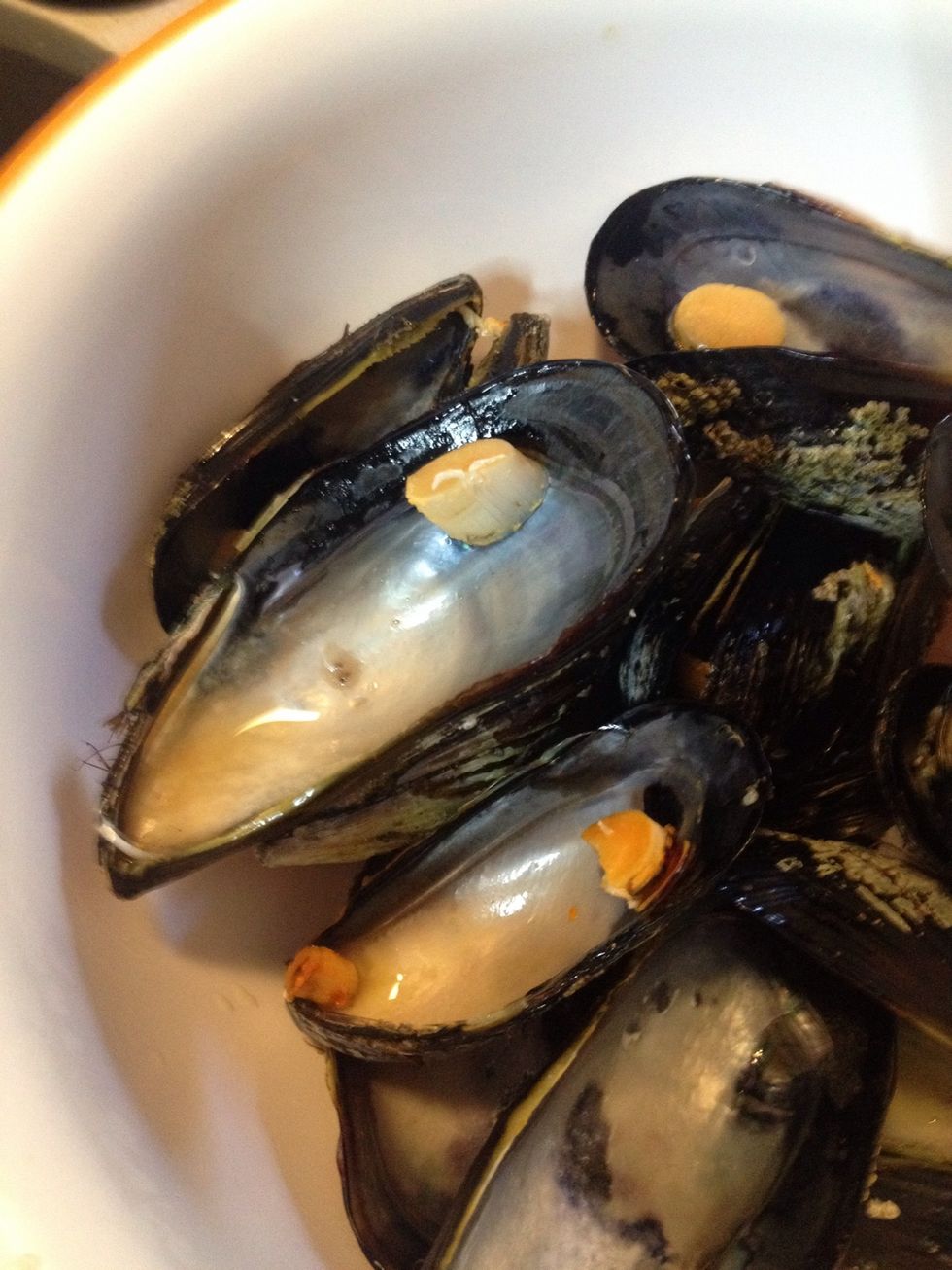 How to prepare and cook wild mussels B+C Guides
