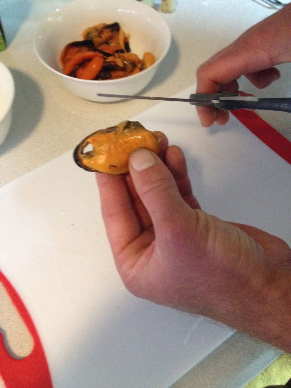 How to prepare and cook wild mussels B+C Guides