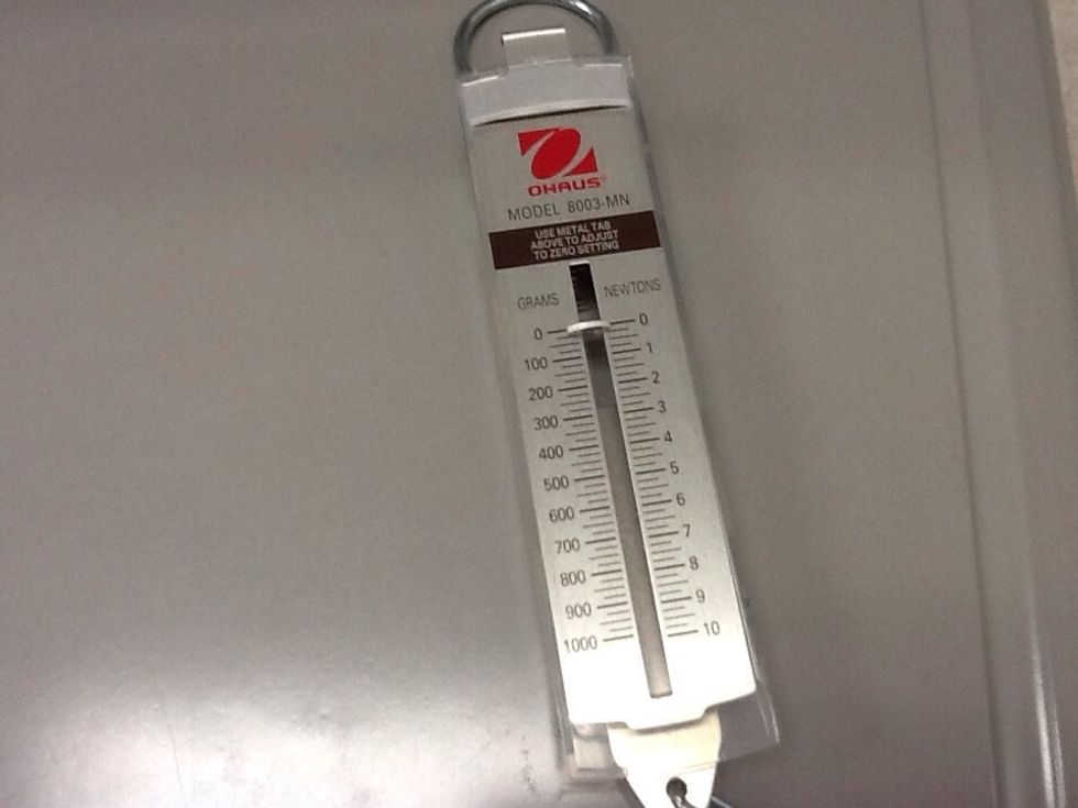 How to read a spring scale - B+C Guides
