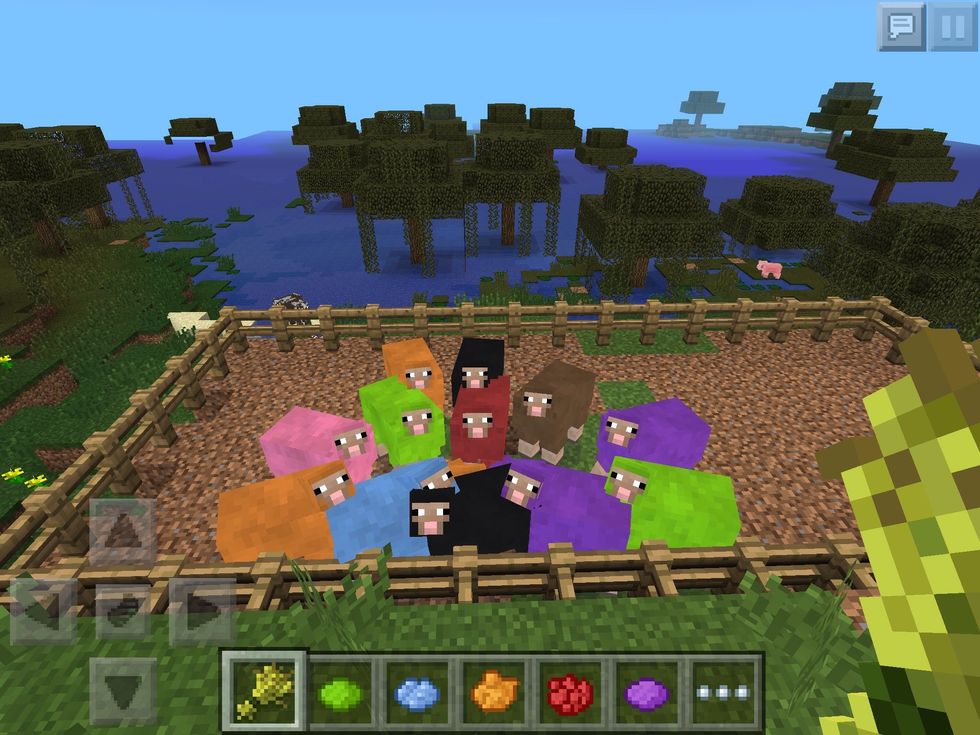 How to get to sheep to change colors on minecraft!! ???? - B+C Guides