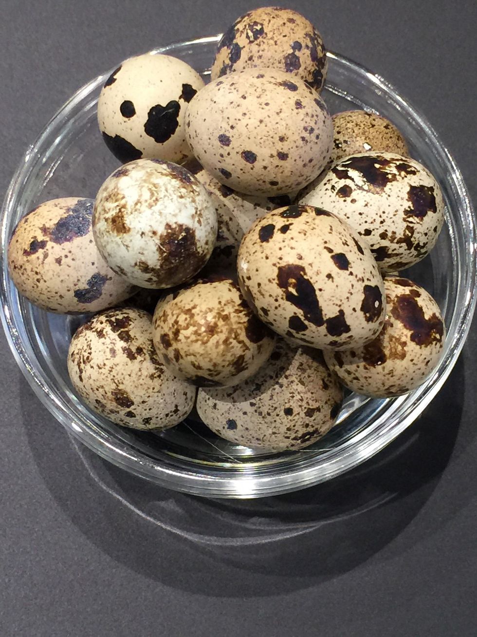 How to boil quail eggs (super healthy) B+C Guides