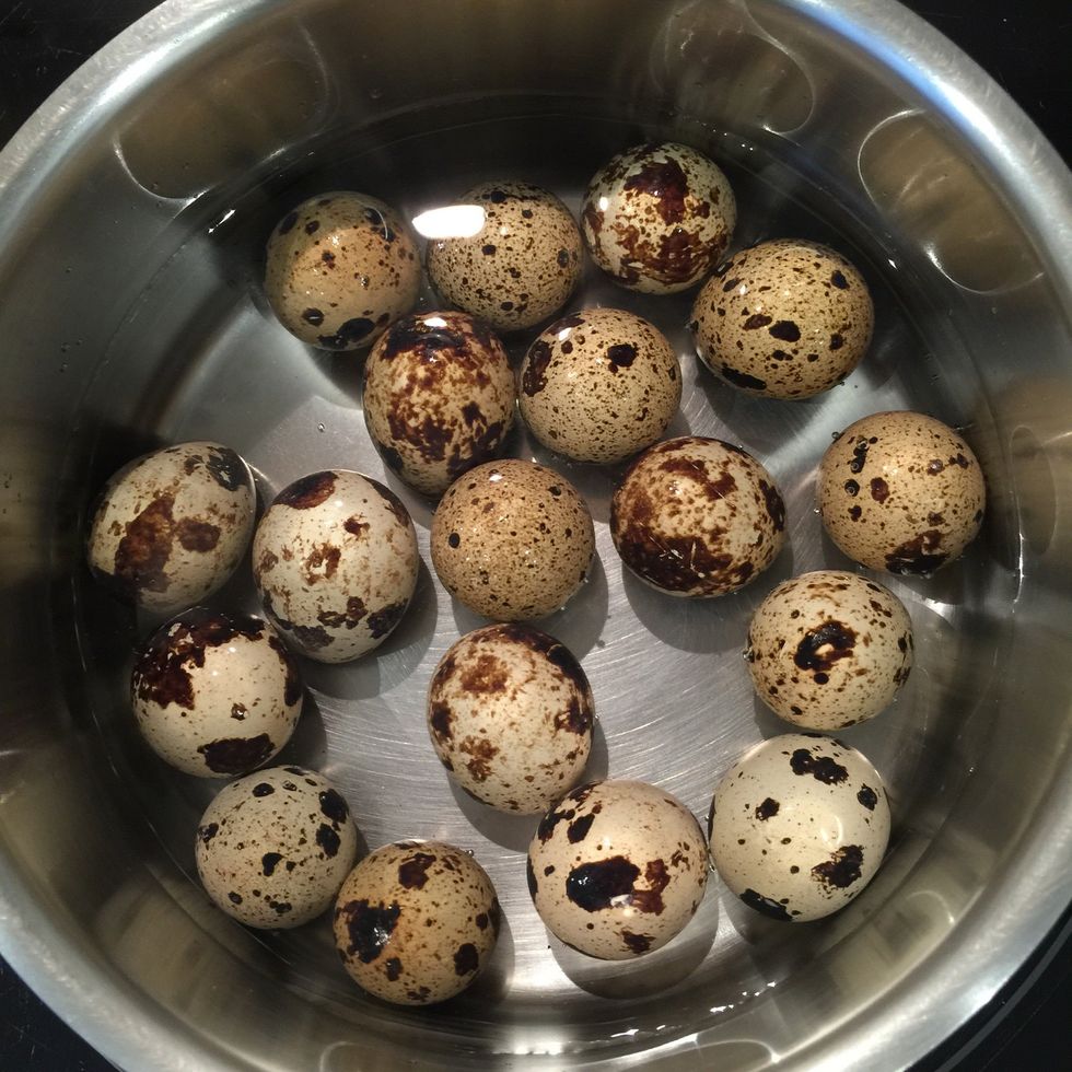 How to boil quail eggs (super healthy) - B+C Guides