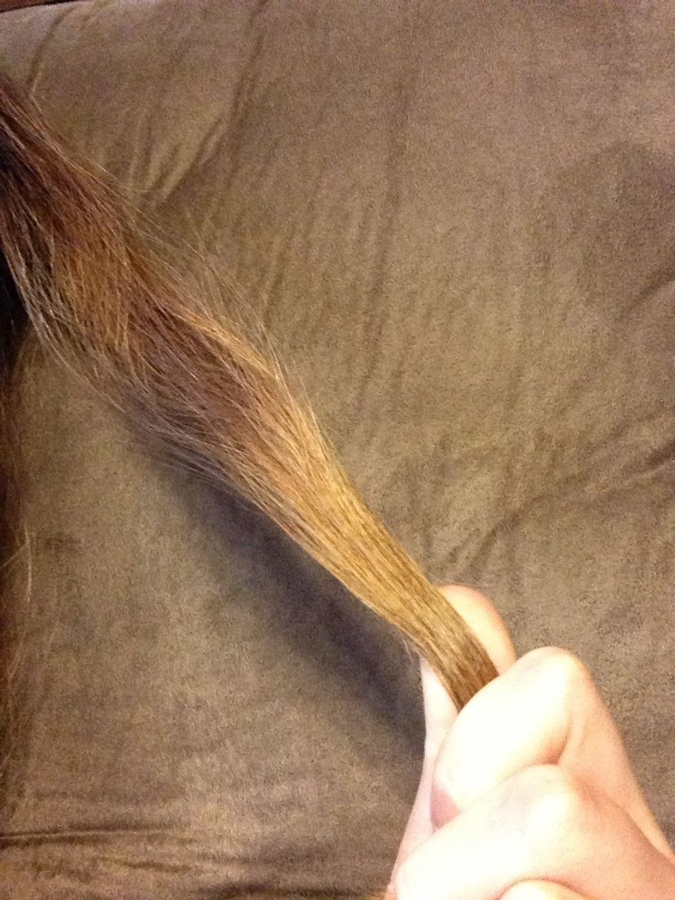 How to trim split ends yourself B+C Guides