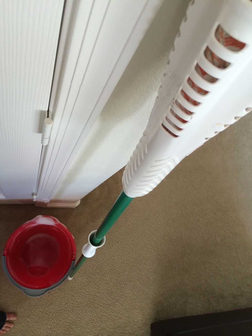 How to create a pet safe floor cleaner B+C Guides