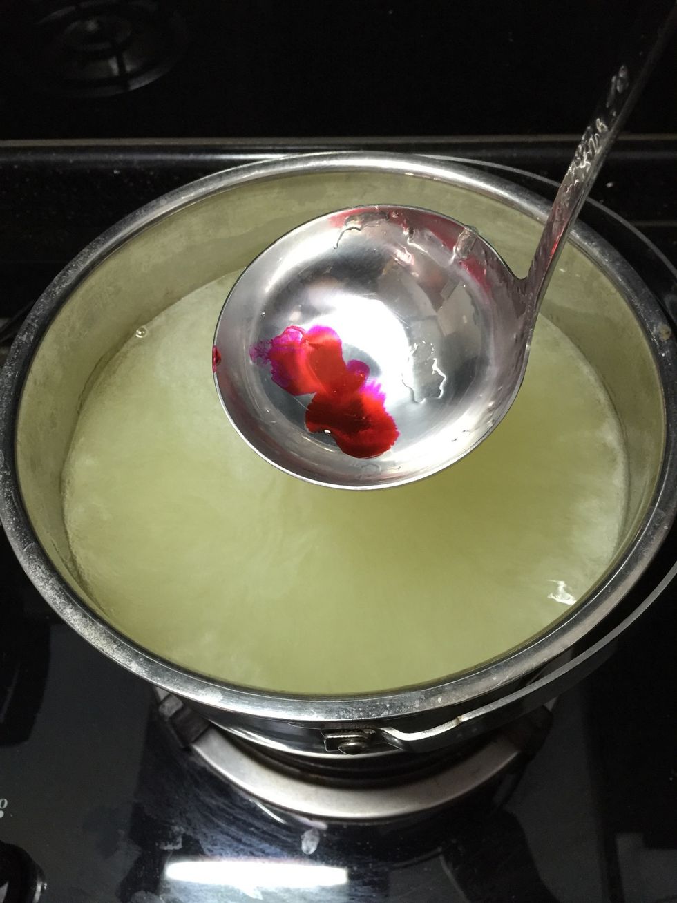 How to make agar agar B+C Guides