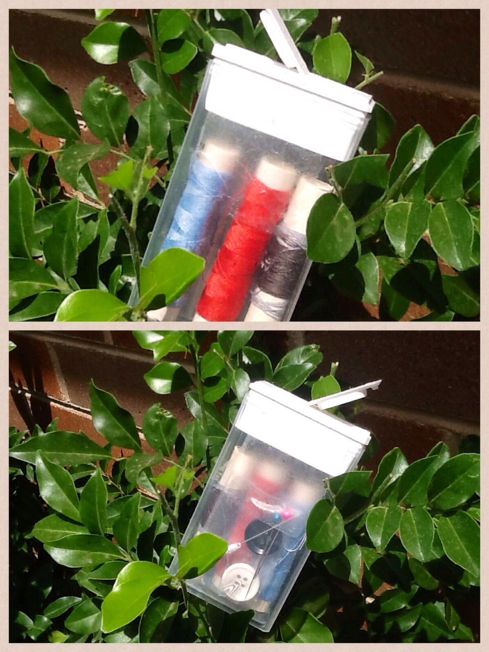 How to 10 uses for empty tic tac containers B+C Guides