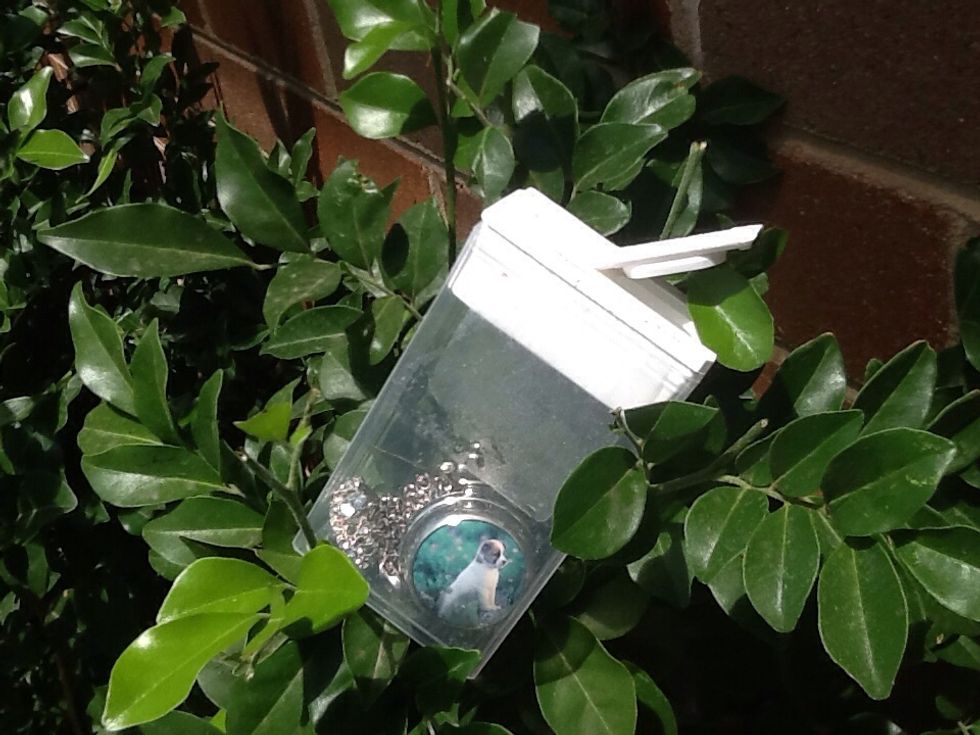 How to 10 uses for empty tic tac containers B+C Guides