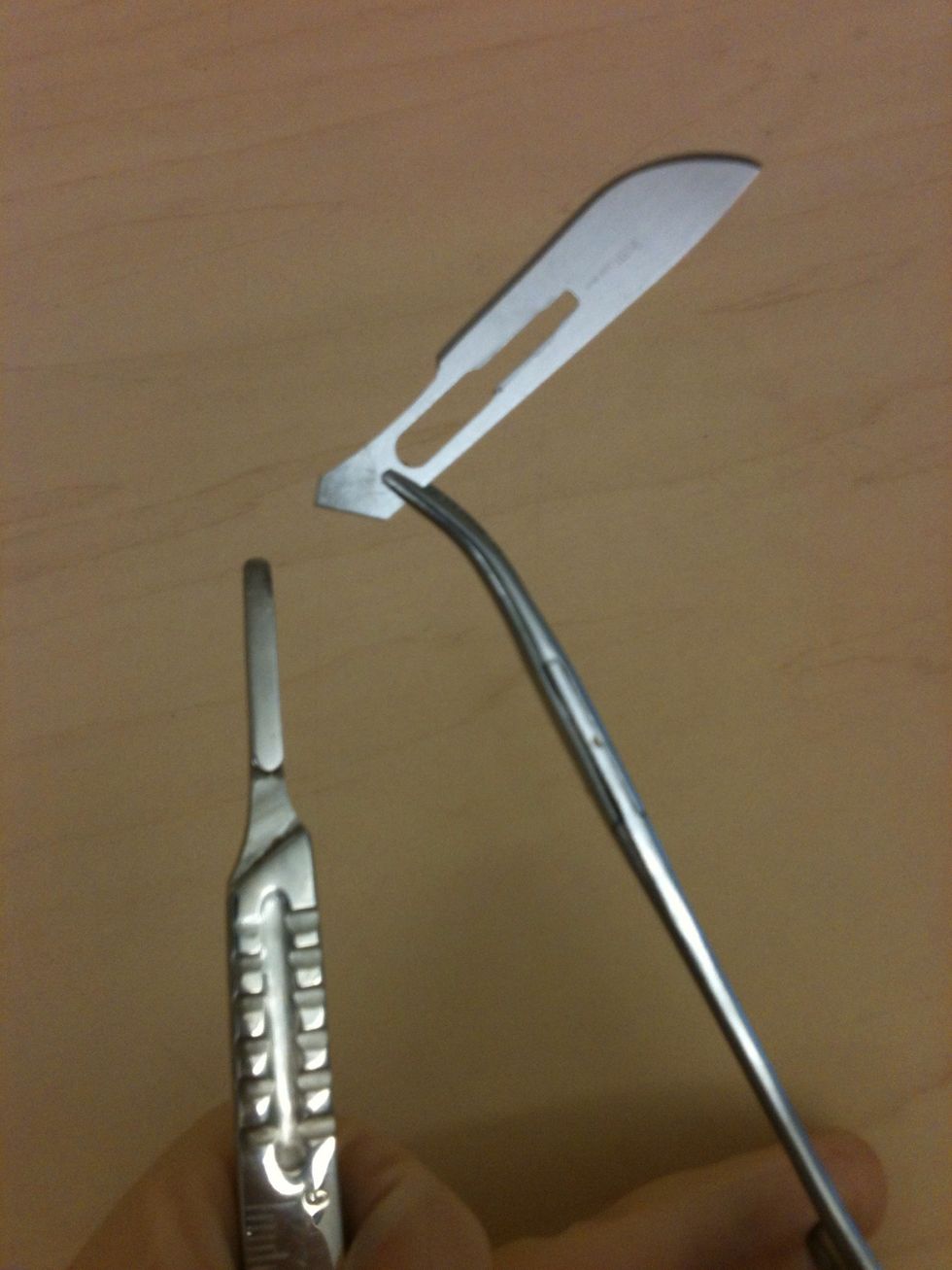 How to mount a blade onto a scalpel handle B+C Guides