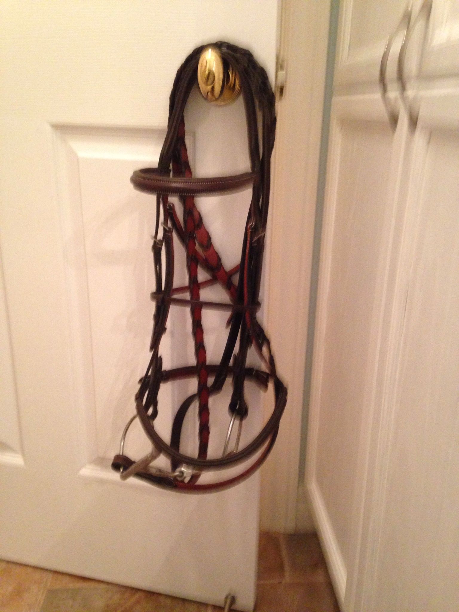 How To Deep Clean Your Bridle - B+C Guides