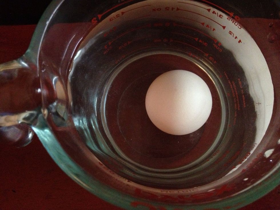 How to test an egg for freshness B+C Guides