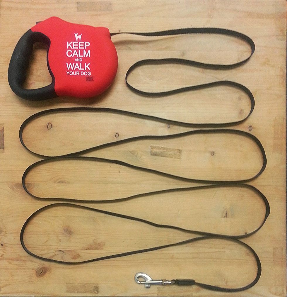 How to properly use a retractable dog leash B+C Guides