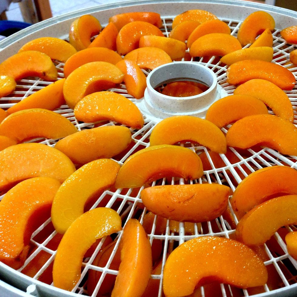 best way to dehydrate apricots
