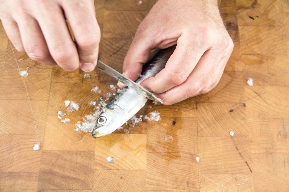 How to scale and clean sardines B+C Guides