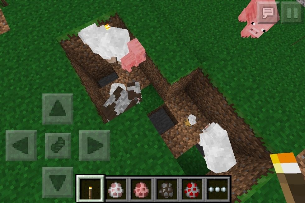 How to easily trap animals 4 food in minecraft pe - B+C Guides