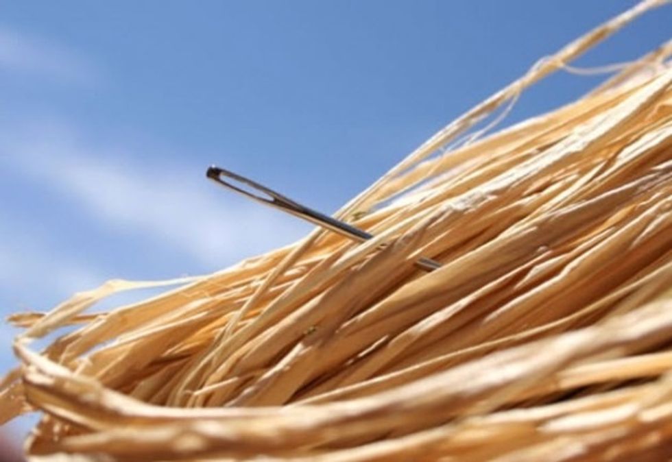 How To Find A Needle In A Haystack B C Guides How To Find A Needle In A Haystack B C Guides