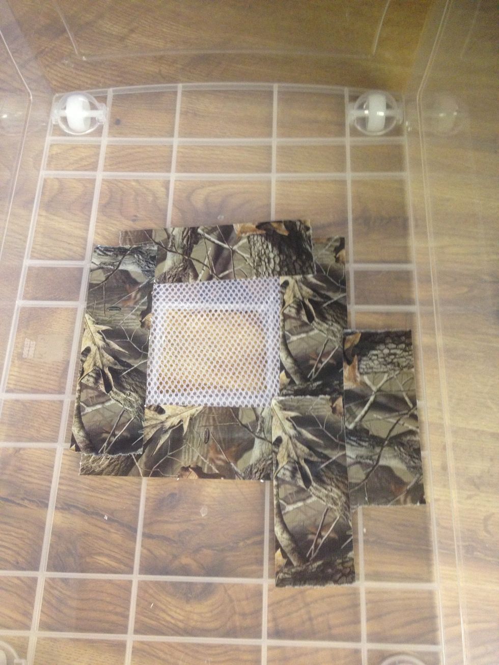 How to build a light trap for catching moths B+C Guides