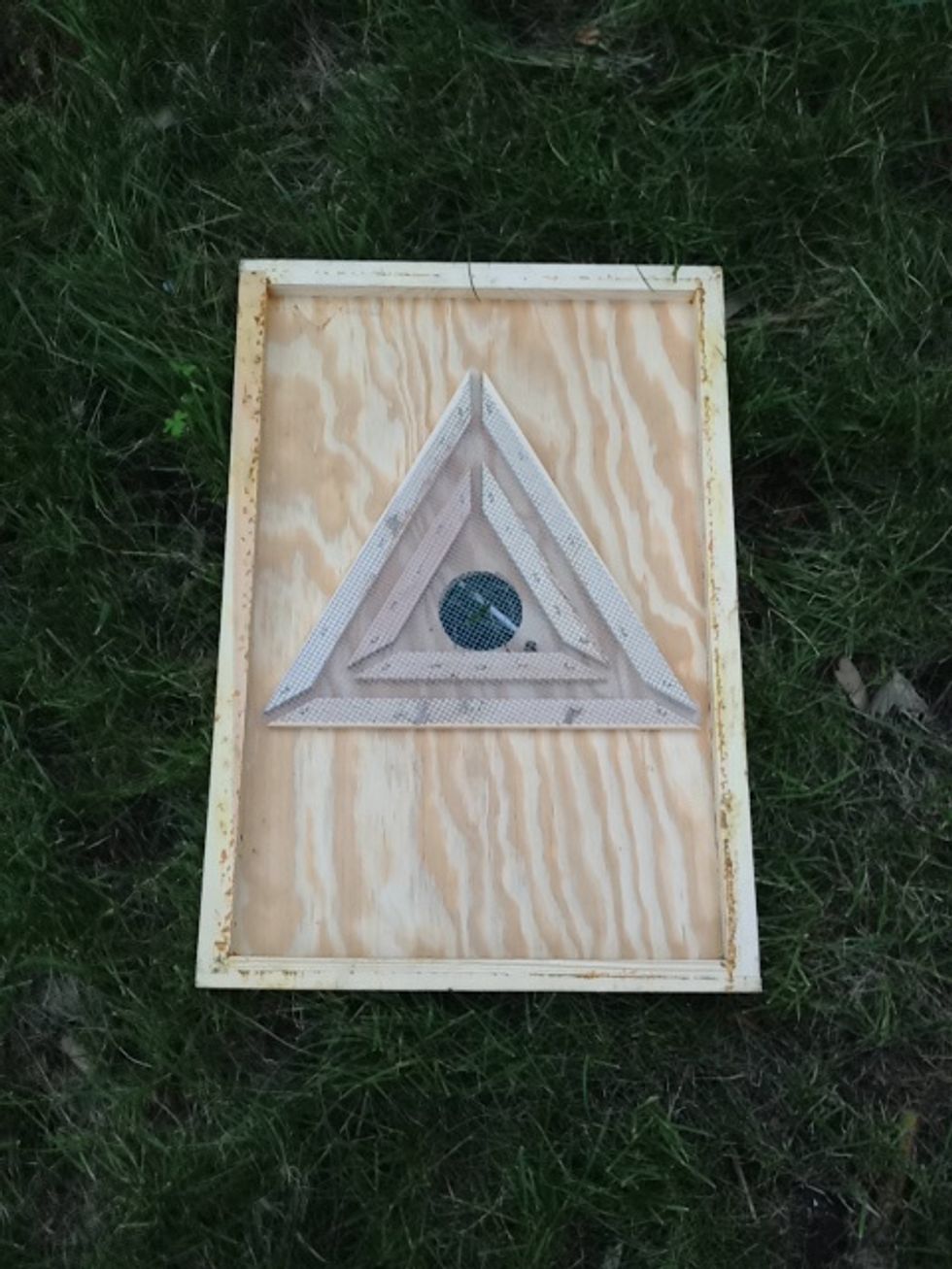 How to use a bee escape board B+C Guides How to use a bee escape board B+C Guides