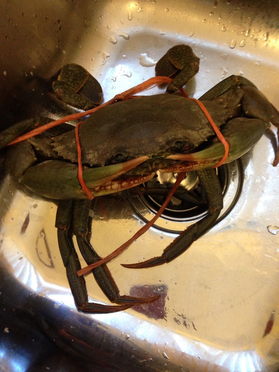 How to cook mud crab with ginger and shallot B+C Guides