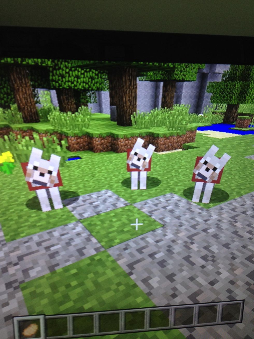 how-to-tame-a-dog-on-minecraft-ps3-version-b-c-guides