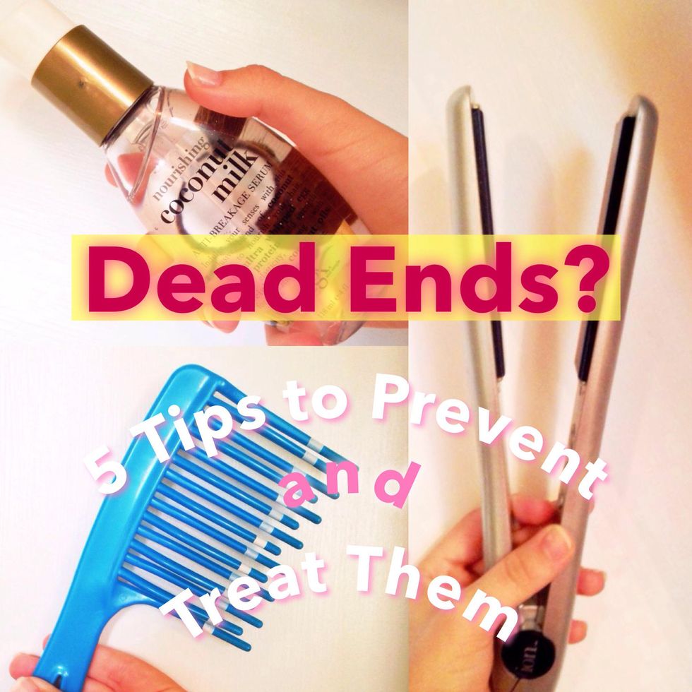 How To Prevent And Treat Dead Ends 5 Simple Free Ideas B C Guides