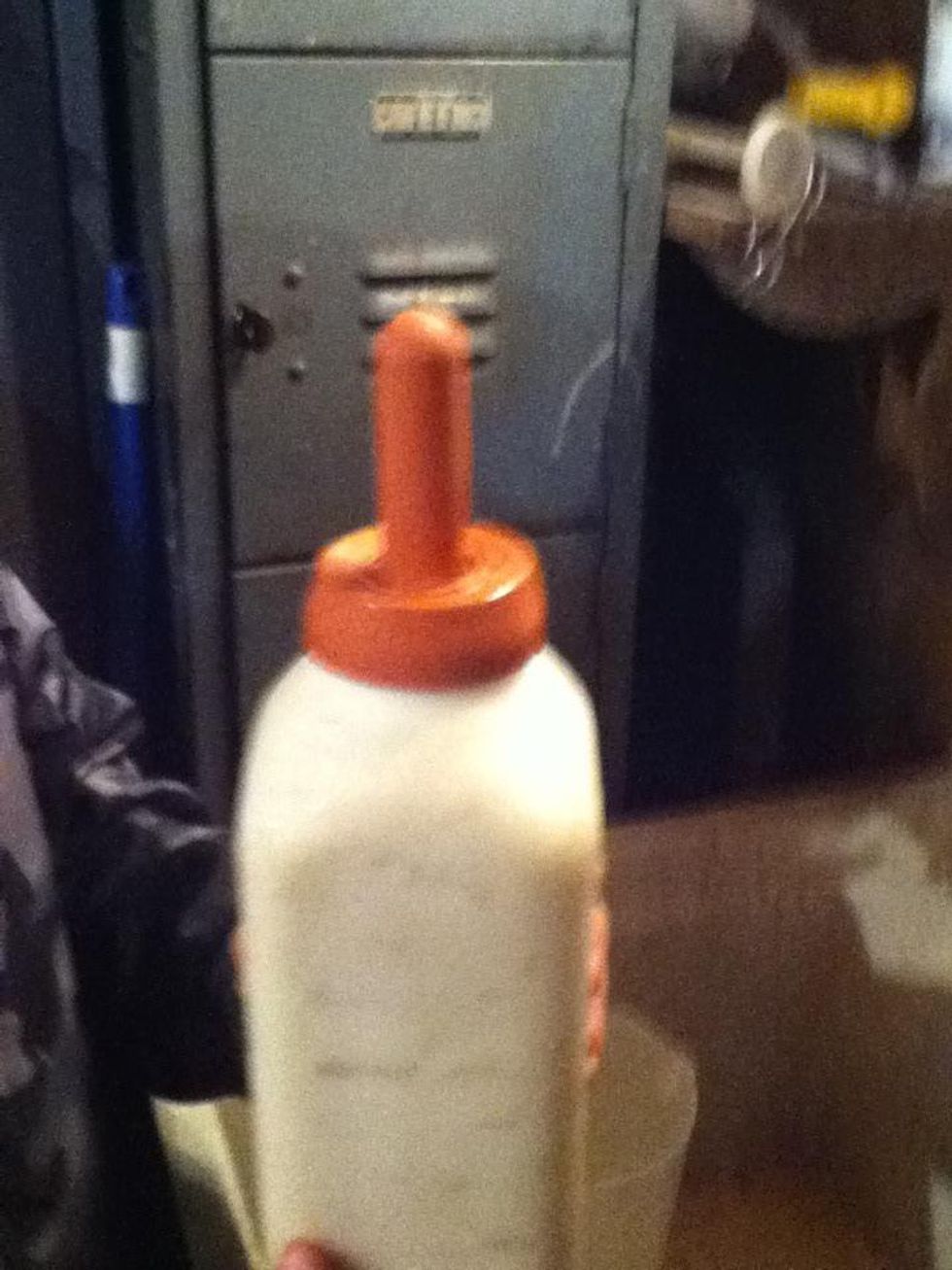 How to make a bucket calf bottle B+C Guides
