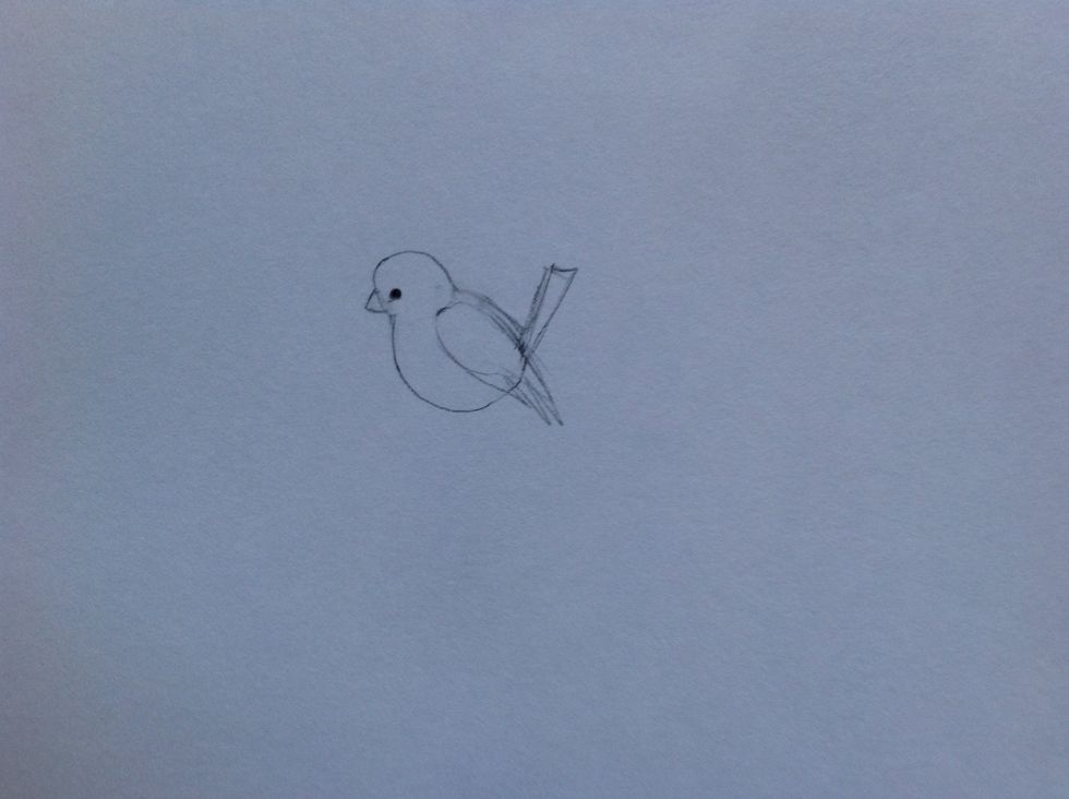 Eyes and beak :)