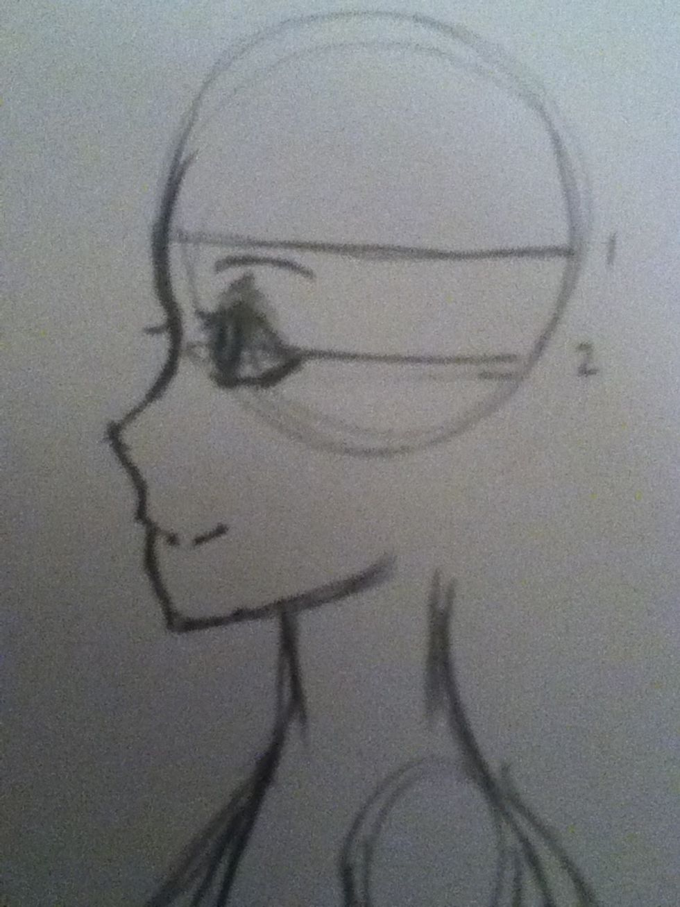 Eyes should be on bottom line and the curve of the nose should also