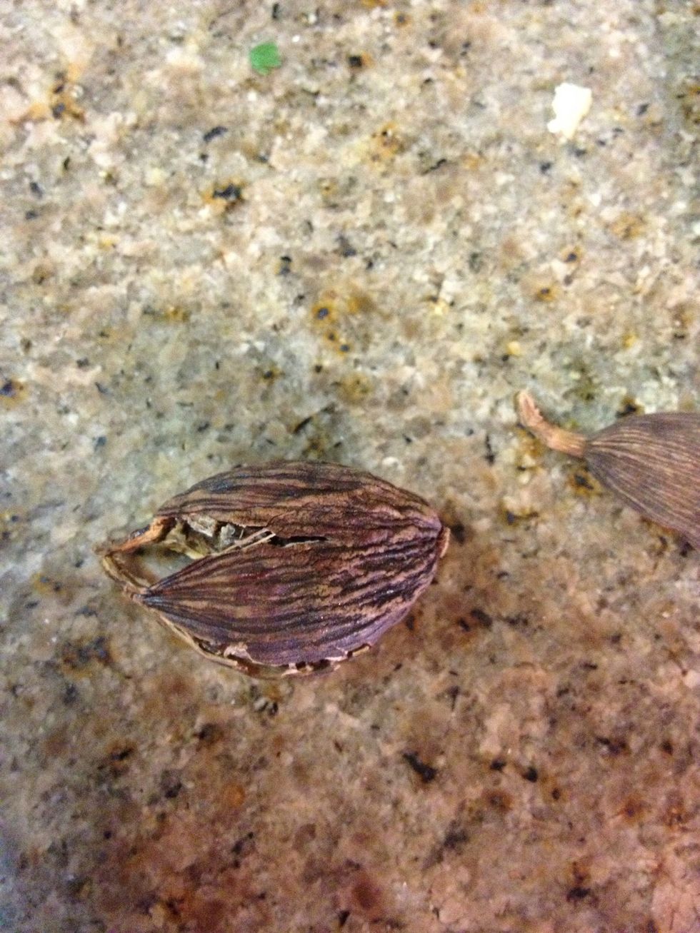 Falafel prep: cardamom -remove seeds and grind to powder. It's the third most expensive spice in the world behind saffron and vanilla.