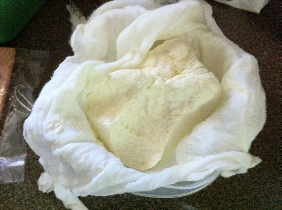 Farmers cheese that I made from another SnapGuide user \ud83d\ude01