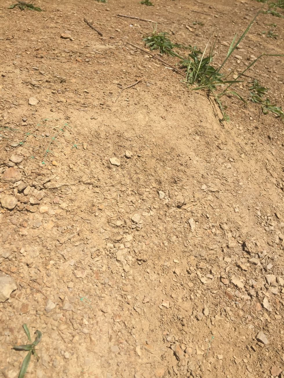 Fast wind pushes rock (weathering)