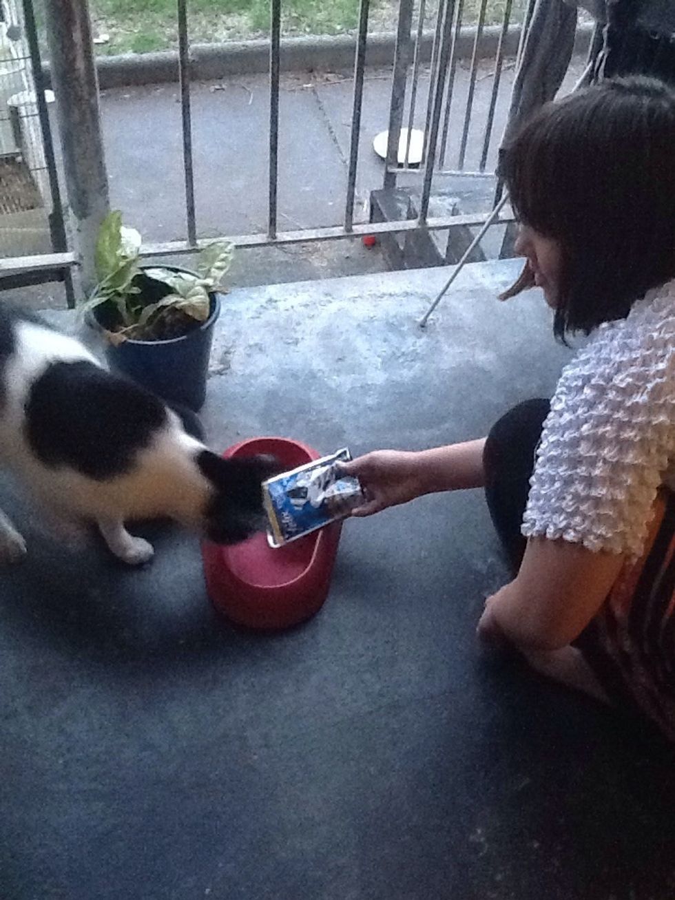 Feed him the good stuff! \ud83d\udc31\ud83c\udf72\u2764\ufe0f