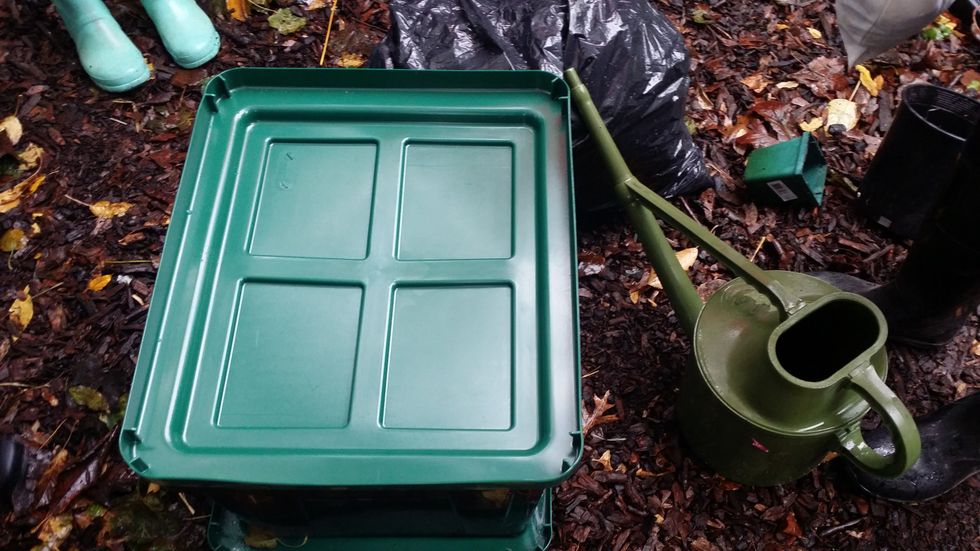 Feed once a week (up to 4 L of food) burying the food in a different corner. Do NOT feed them meat, bones, fish, dairy products, bread, rice, pasta (this will attract flies + rodents) No cat/dog feces
