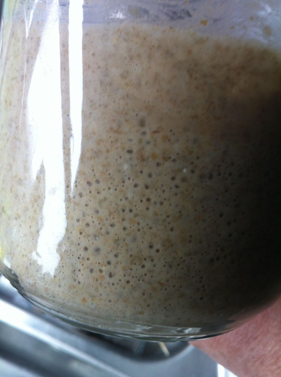 Fermentation after just 24 hours. Time to feed it.