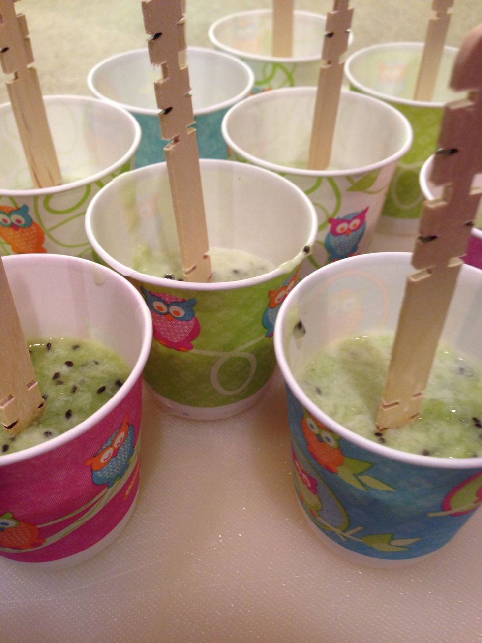 Fill 1/2 to 3/4 full.  Stick Popsicle sticks in center. Place in freezer until solid.