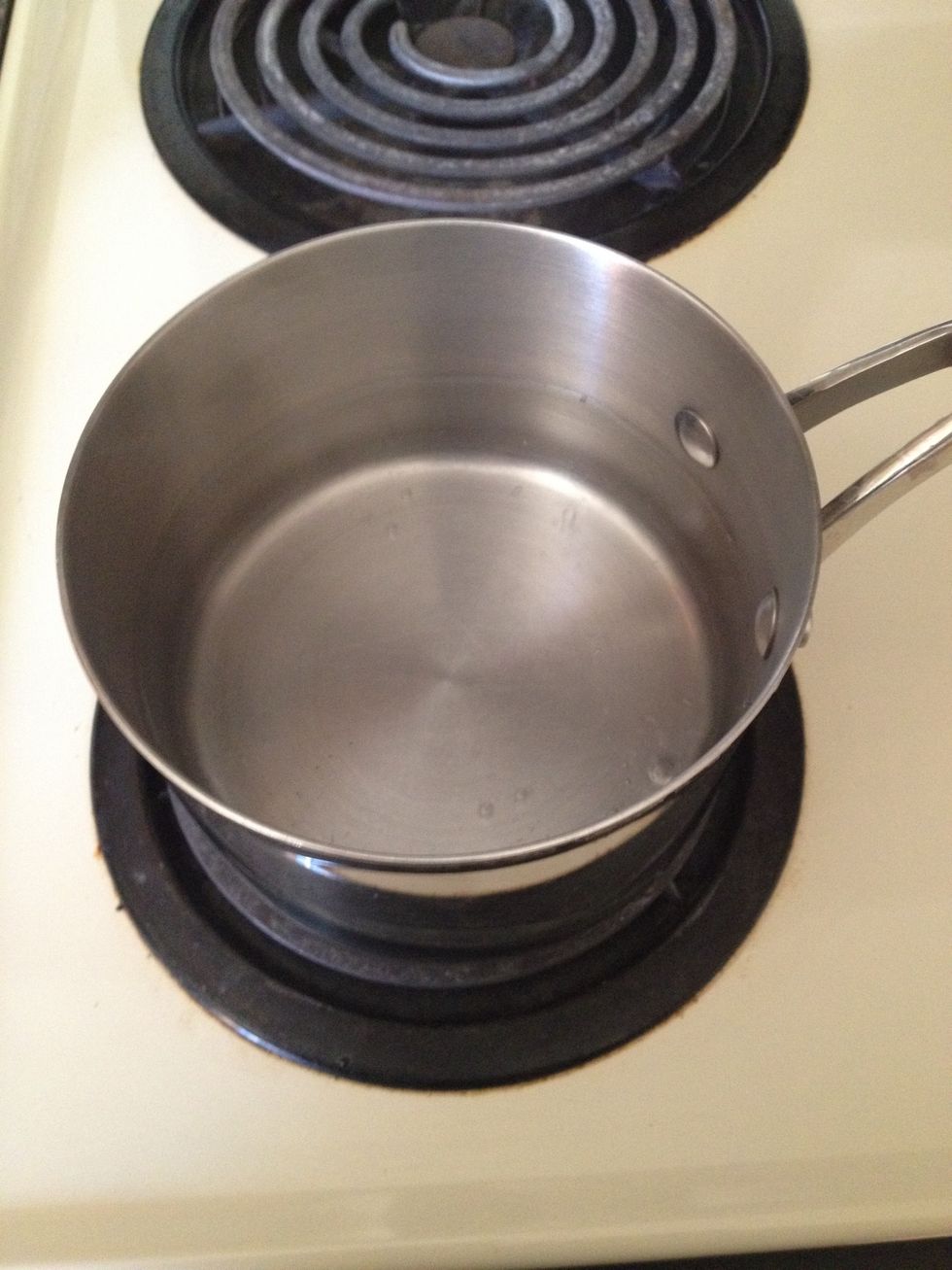Fill a small pot about half way with water and bring to a light summer