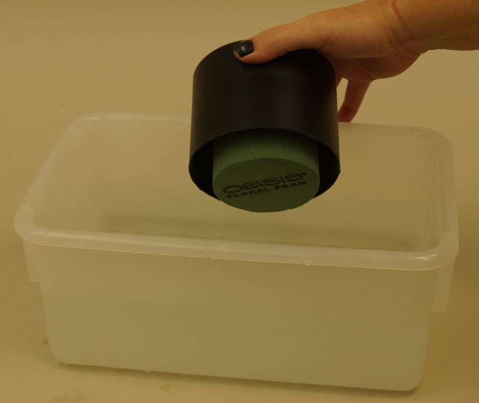 Fill container with water to soak foam in. Drop Round OASIS Table Deco into tub and let it float soak. Do not push down to saturate.