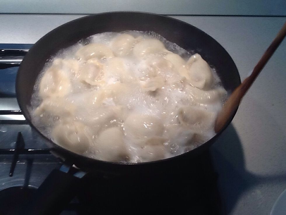 Fill half the pan with water and boil water to 100+ Celsius, then place dumplings inside pan for 10-15 min, I usually go for 12 min