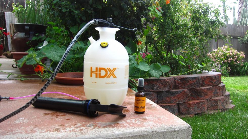 Fill HDX spray bottle (Home Depot $9.96) with a gallon of tap water. Use distilled water if you prefer.