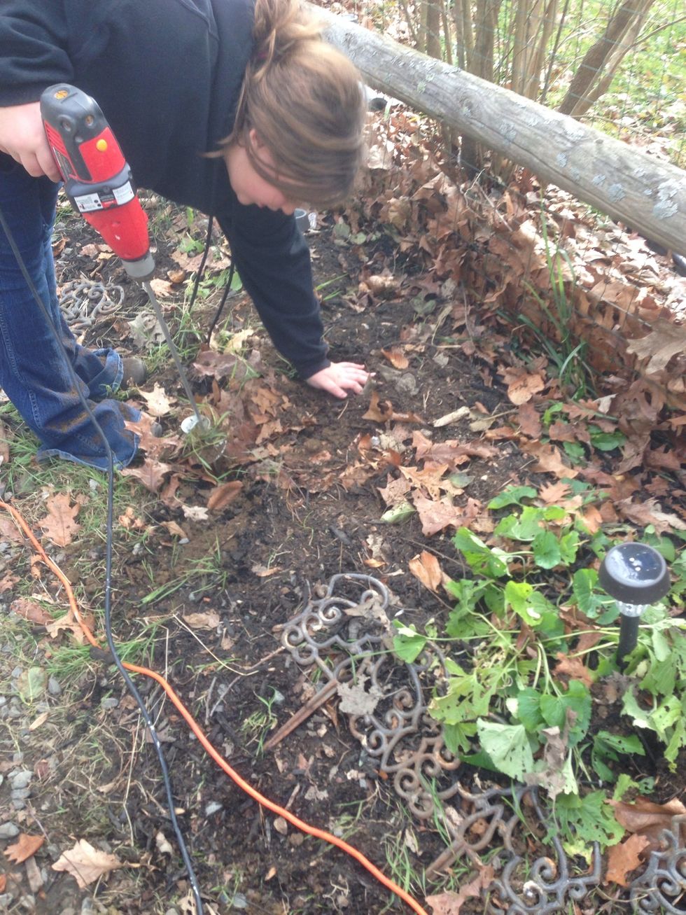 Fill hole with dirt. If you are going to fertilize, do so before filling hole.