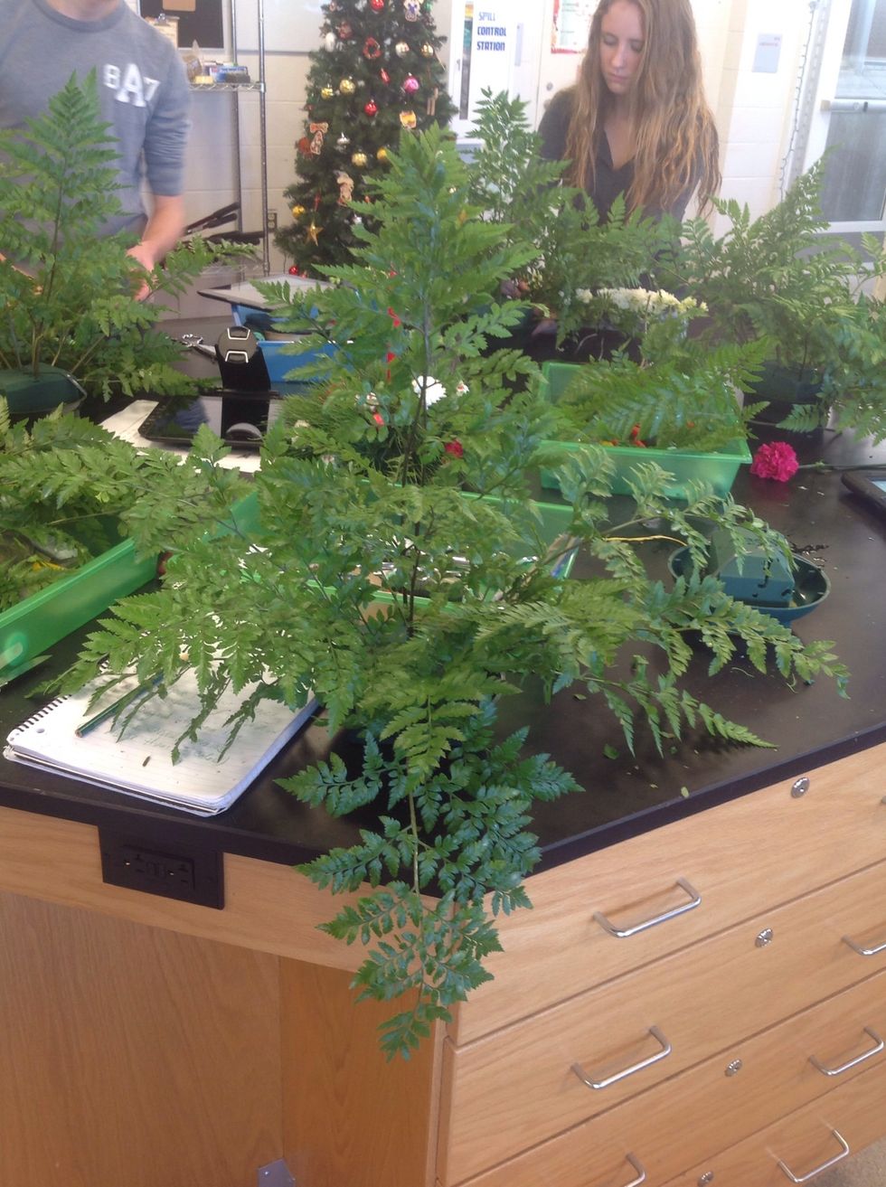 Fill in more space with leather leaf