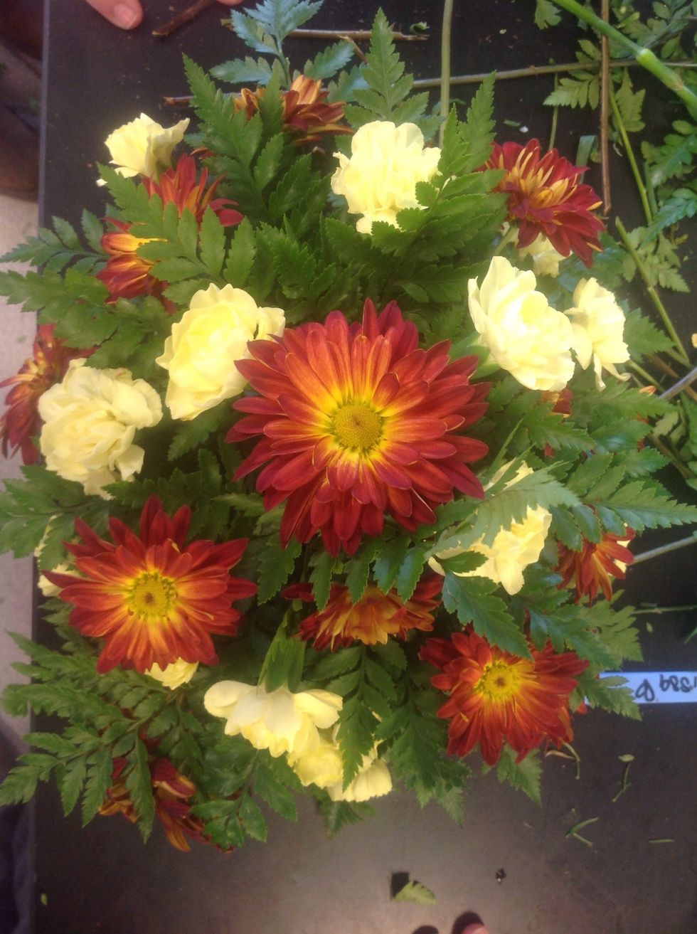 Fill in most of the empty spaces with another type of flower.