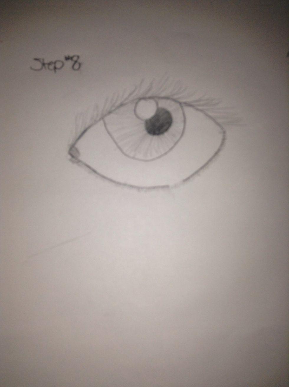 Fill in the bottom eye lashes ( make sure there smaller then the ones on the top lashes)
