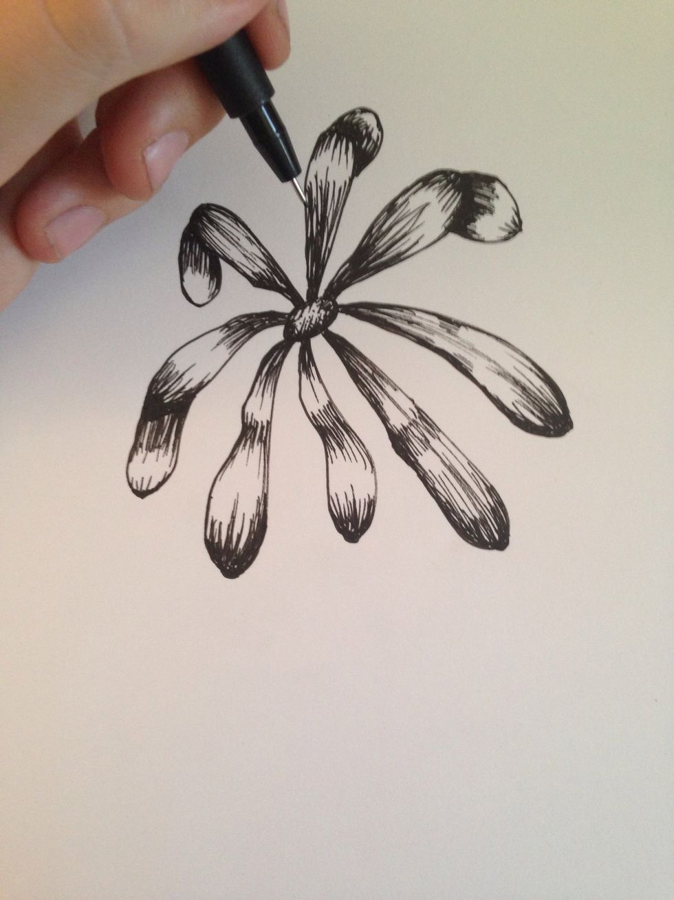 Fill in the center of the flower. Darker on the sides and lighter in the middle.