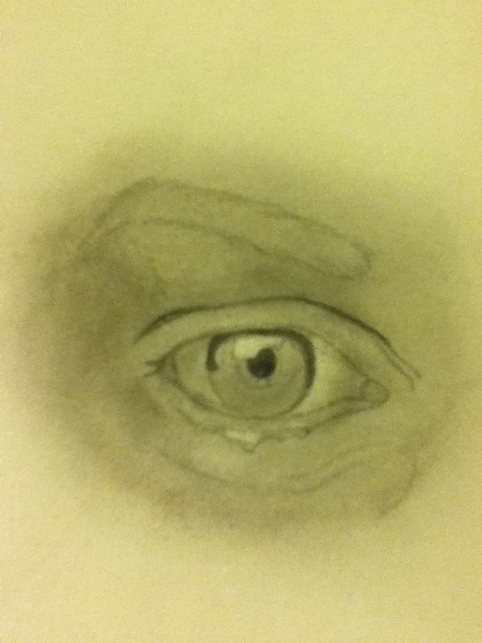 Fill in the darkest areas like the pupil, shadow on the upper part of the iris and the crease of the eyelid.