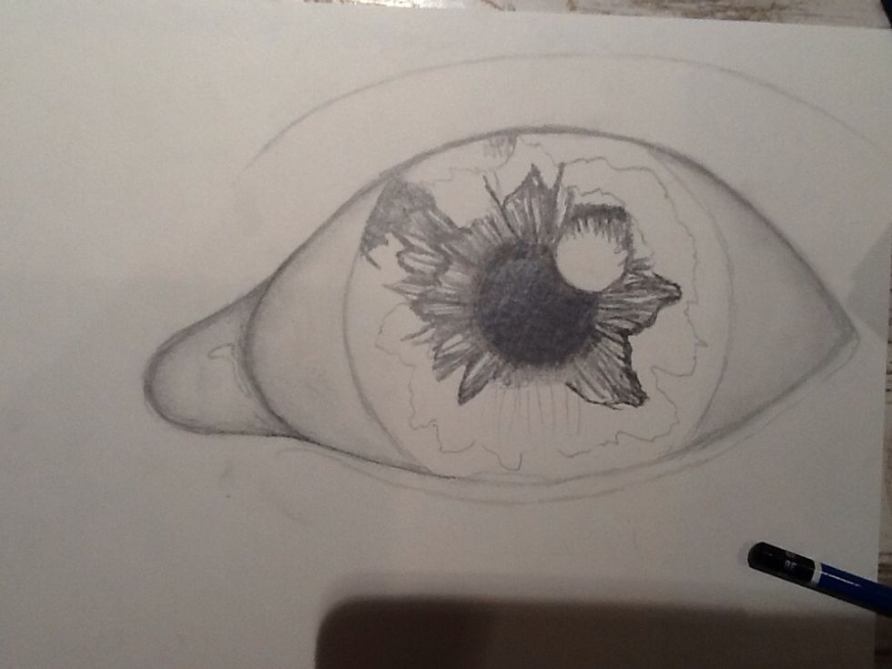 Fill in the iris. The lines that you use to do this should vary in darkness and all point outward from the pupil. Be sure to leave some room for light reflections.