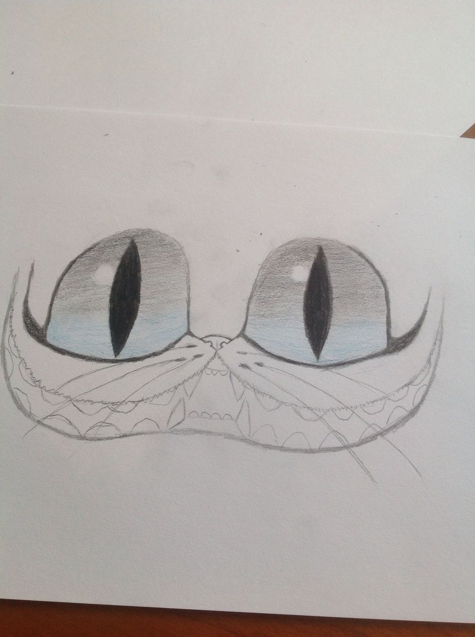 Fill in the lines around the eyes.